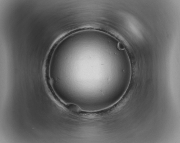 X0000113140991200909110930