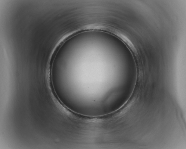 X0000113140992200909110930