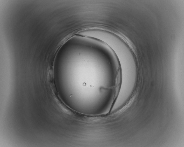 X0000113140993200909110930