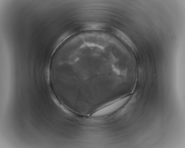 X0000113140994200909110930