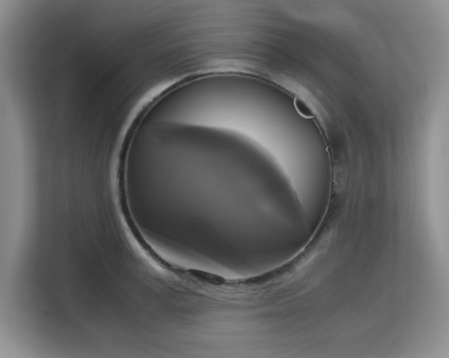 X0000113140995200909110930