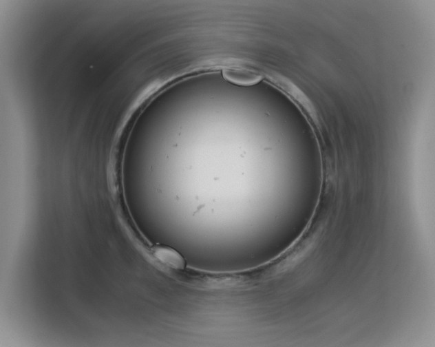 X0000113140997200909110930