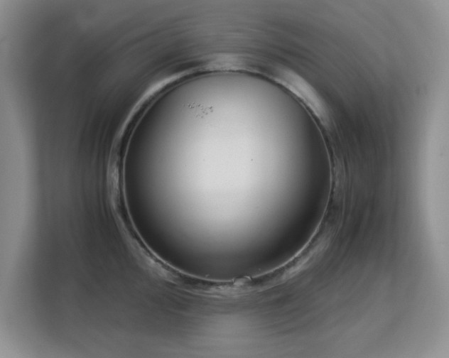 X0000113141000200909110930