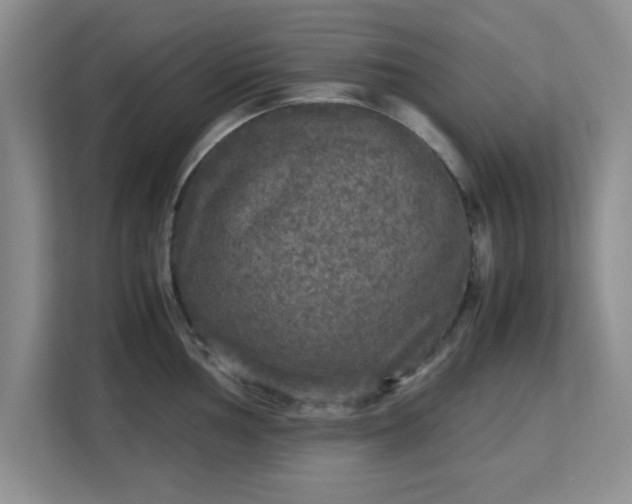 X0000113141002200909110930