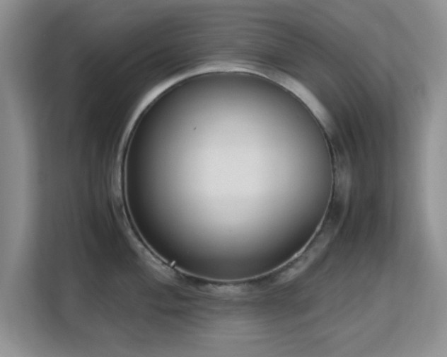 X0000113141004200909110930