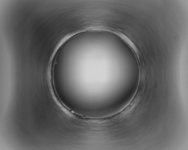 X0000113141005200909110930