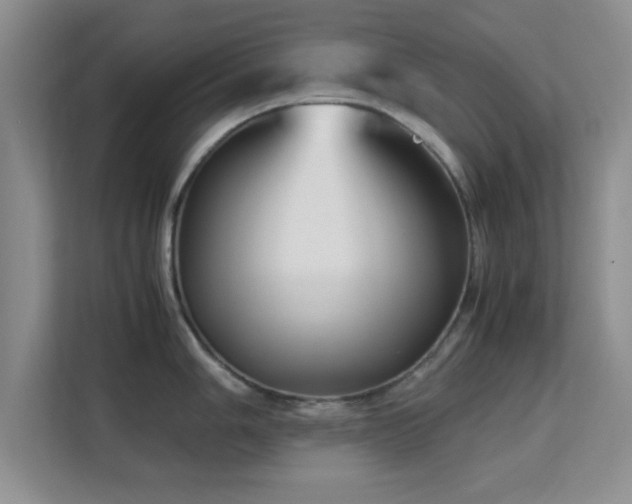 X0000113141006200909110930