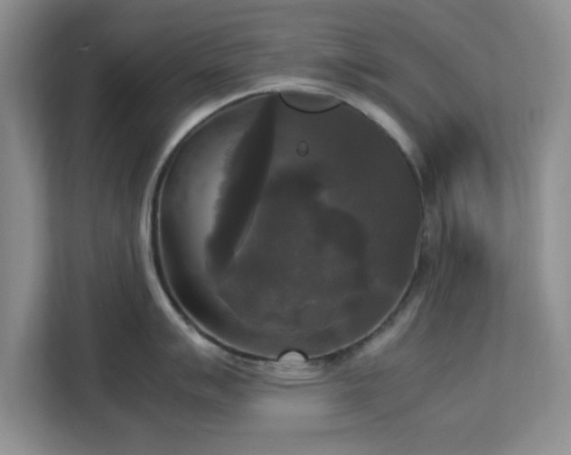 X0000113141007200909110930