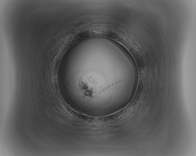 X0000113141009200909110929