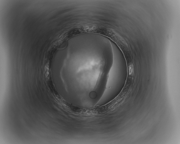 X0000113141011200909110929