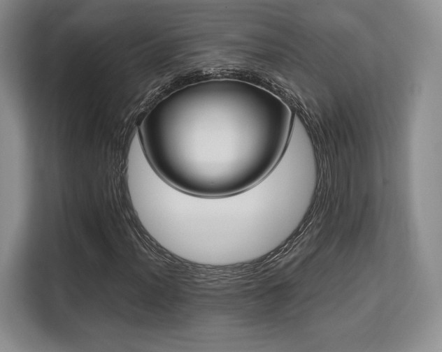 X0000113141012200909110929