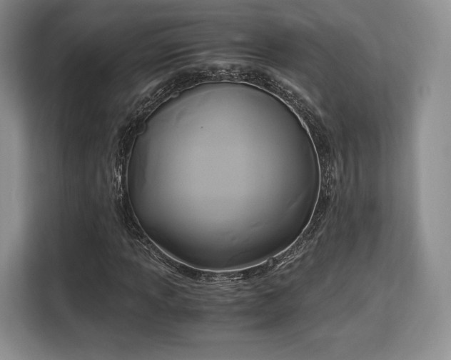 X0000113141013200909110929