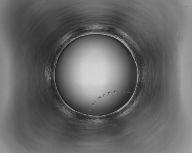 X0000113141017200909110929