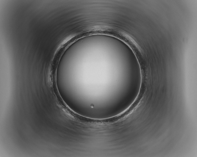 X0000113141018200909110929