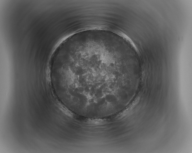 X0000113141019200909110930