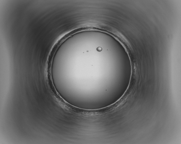 X0000113141020200909110930