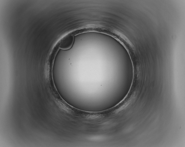 X0000113141021200909110930