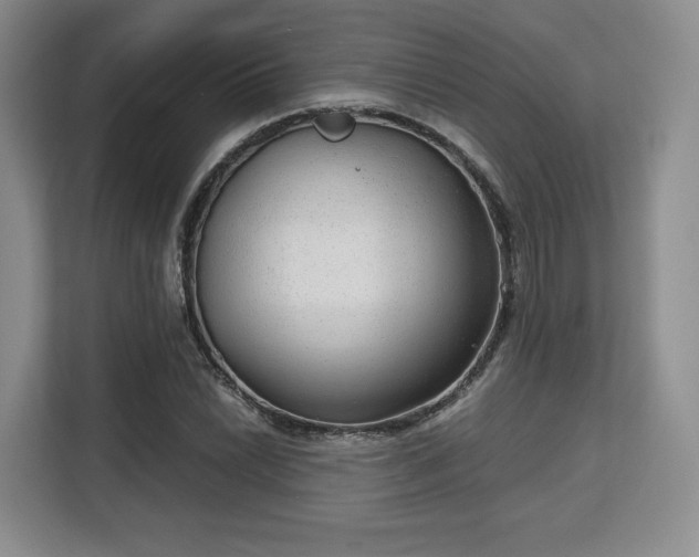 X0000113141022200909110930