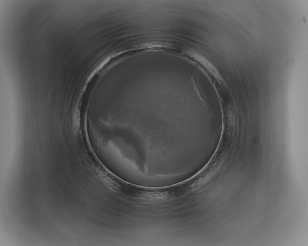 X0000113141023200909110930