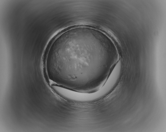 X0000113141024200909110930