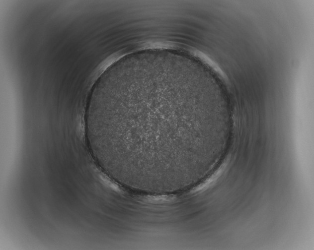 X0000113141025200909110930