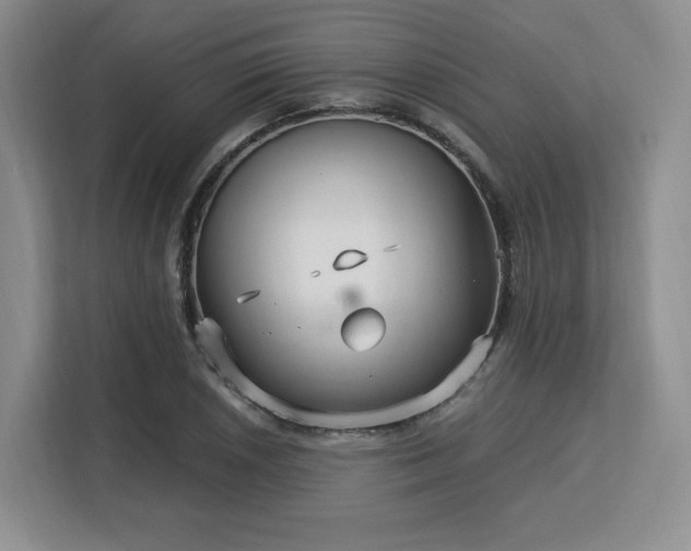 X0000113141026200909110930