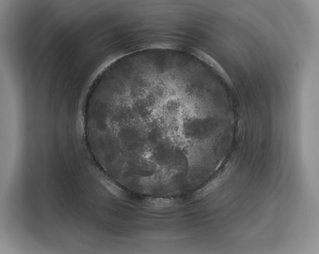 X0000113141027200909110930