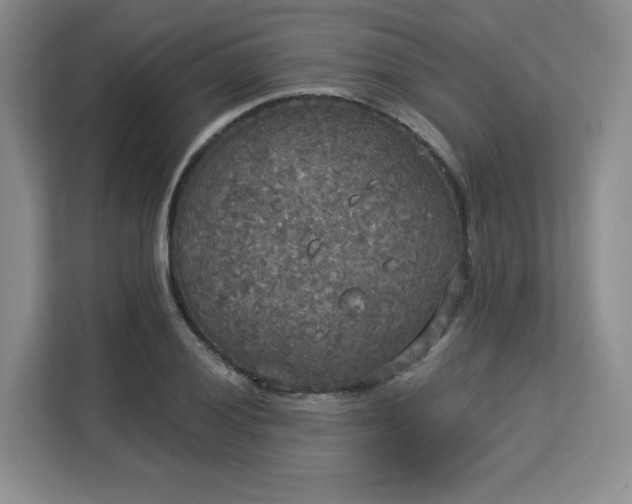 X0000113141028200909110930