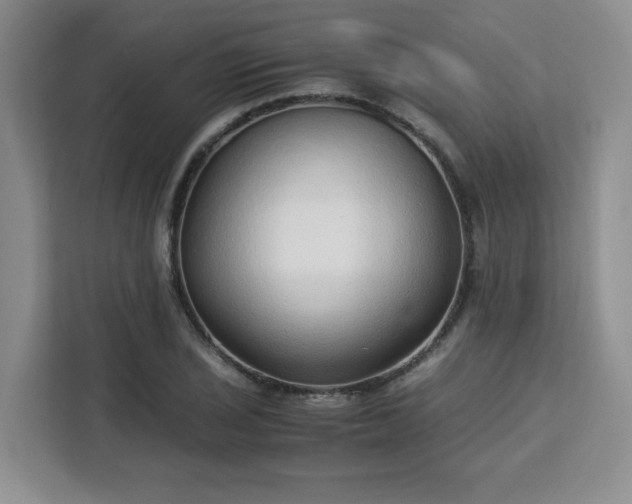 X0000113141029200909110930