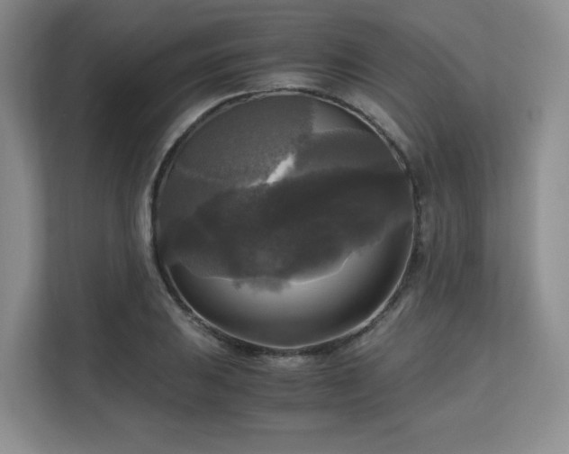 X0000113141031200909110930