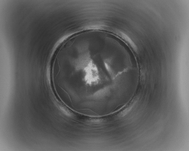 X0000113141035200909110930