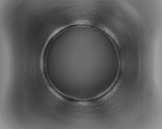 X0000113141037200909110930