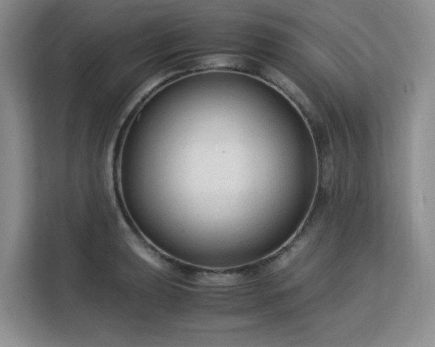 X0000113141039200909110930