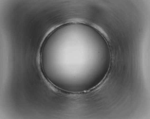 X0000113141040200909110930