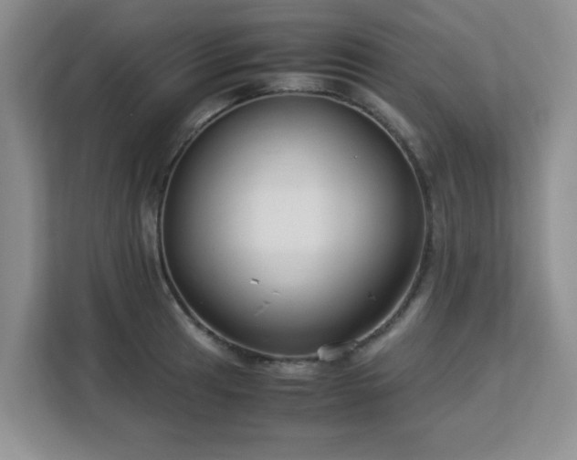 X0000113141041200909110930