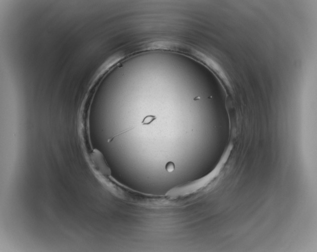 X0000113141042200909110930