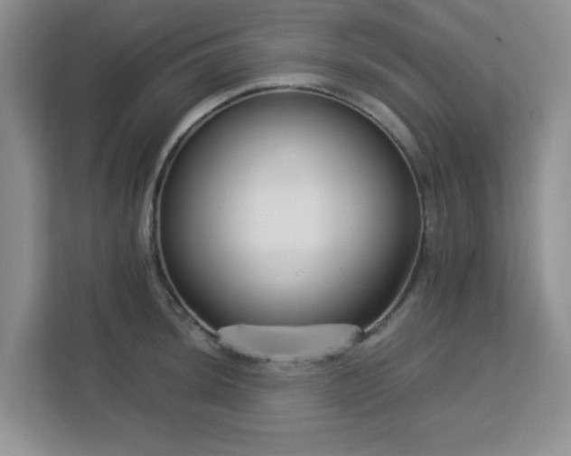 X0000113141044200909110930