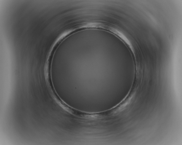 X0000113141045200909110930