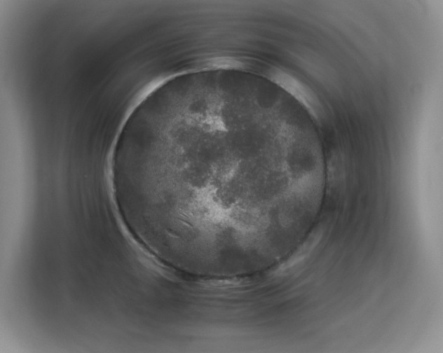 X0000113141047200909110930