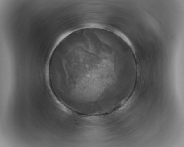 X0000113141048200909110930