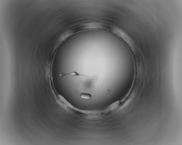 X0000113141049200909110930