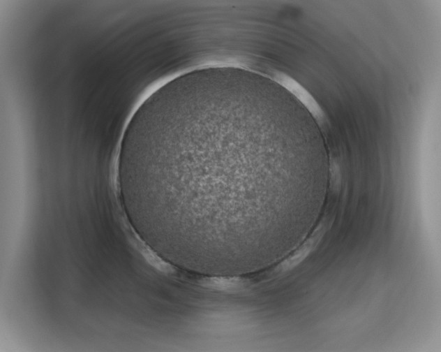 X0000113141052200909110930