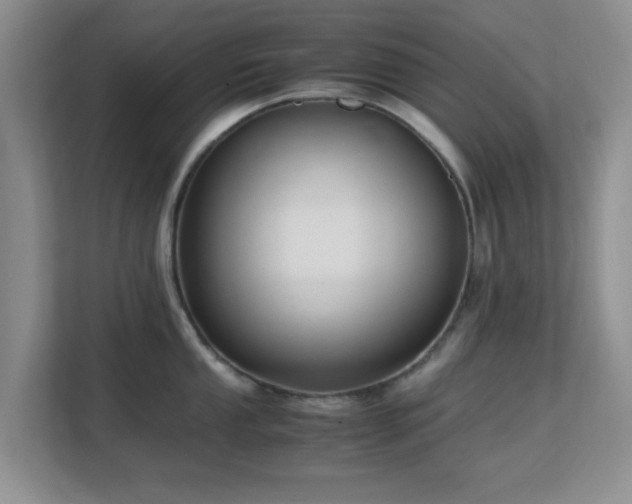 X0000113141053200909110930