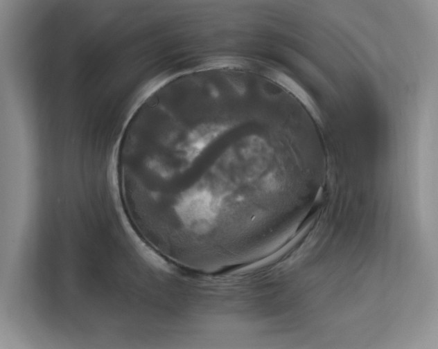 X0000113141055200909110930