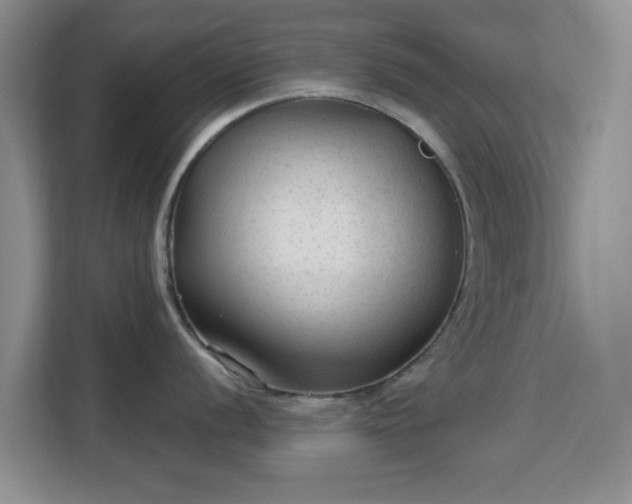 X0000113141056200909110930