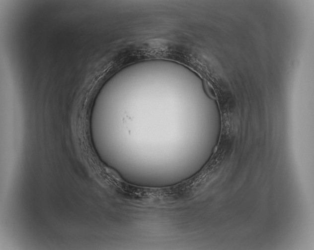 X0000113141057200909110929