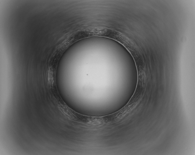 X0000113141058200909110929