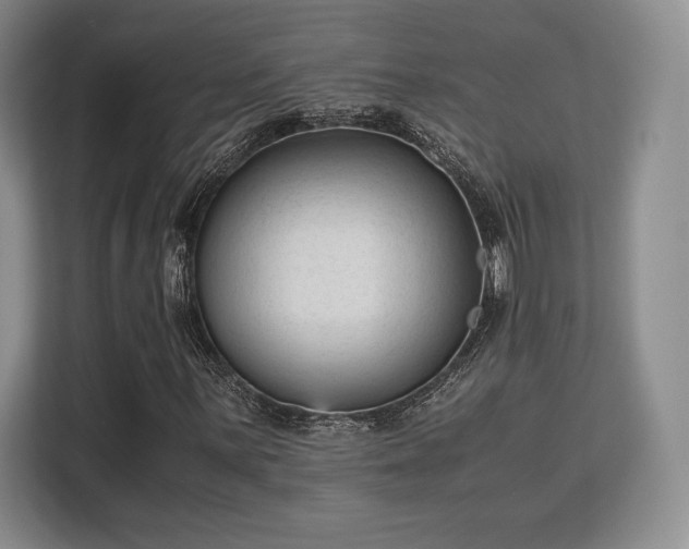 X0000113141059200909110929