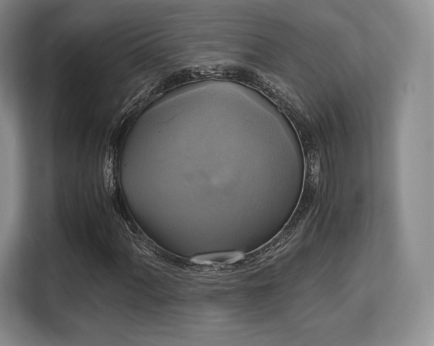 X0000113141060200909110929