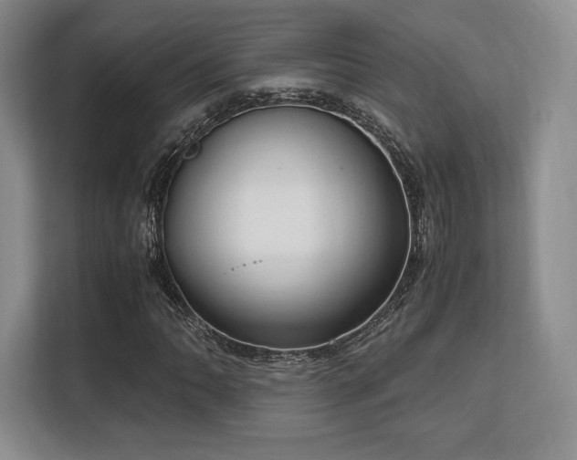 X0000113141062200909110929